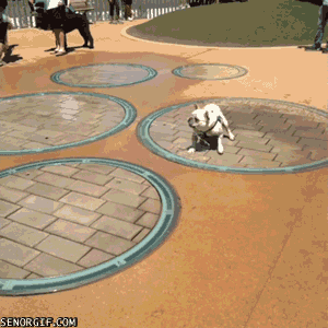 fountain GIF
