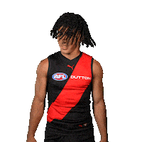 Football Sport Sticker by Essendon FC