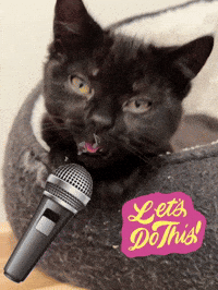 Lets Do This Singing GIF