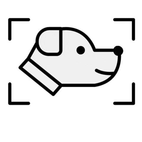 cats dogs Sticker by Barklyshop
