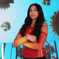 Fighton GIF by USC Trojans