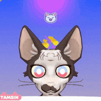 Cat Love GIF by Kitten Cup Studio