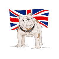 English Dog Sticker by bulldogclub