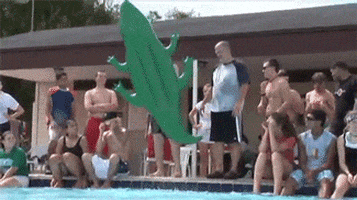 splash alligator GIF