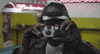 Click Blood Orange GIF by Domino Recording Co.