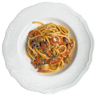 Olive Oil Tomato Sticker by Major Food Group