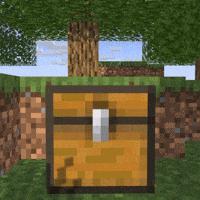Chest GIF