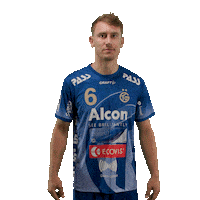 Handball Tvg Sticker by DAIKIN HBL