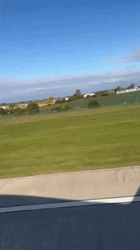 Party Landing GIF