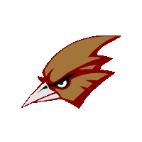 TecLerdo tecnologico correcaminos lerdo itsl Sticker