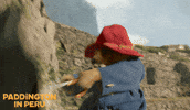 Adventure Rolling GIF by Studiocanal UK