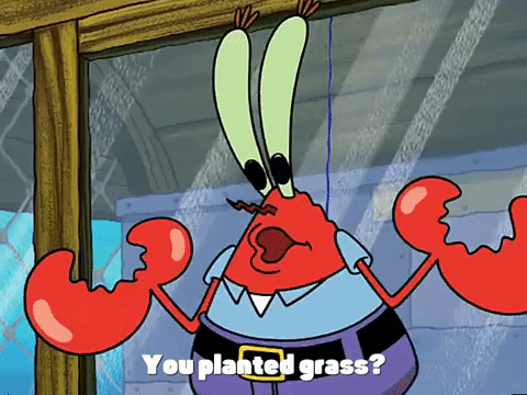 season 3 missing identity GIF by SpongeBob SquarePants