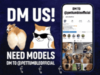 GIF by Pettumble.com