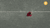 Tennis Court GIF by CuriosityStream