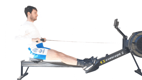 giphyupload rowing voga rowing machine canottaggio GIF