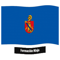 El Palmar Flag Sticker by Formación Ninja