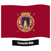 Flag Spain Sticker by Formación Ninja
