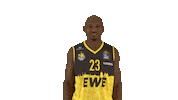 Ewe Baskets Basketball Sticker by EWE Baskets Oldenburg