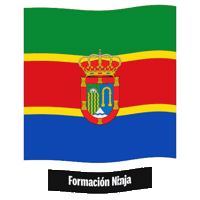 Castilla Y Leon Flag Sticker by Formación Ninja