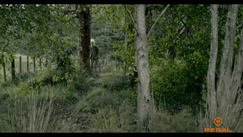 I See You A24 GIF by Regal