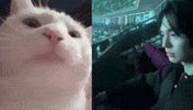 Dance Win GIF