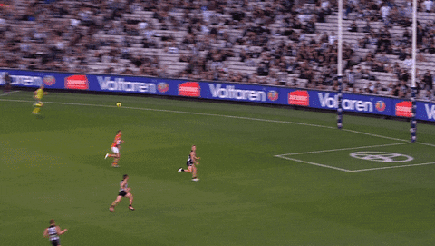happy football GIF by CollingwoodFC