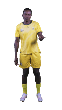 Banyanabanyana Sticker by Shield South Africa