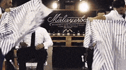 Palibex moustache transporte pale logistica GIF