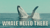 Video gif. A sperm whale is jumping out of the ocean. Below is a pun reading, “Whale hello there.”