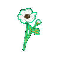 Flower Sticker