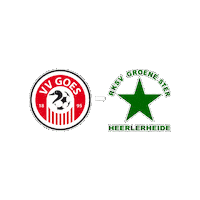 Sport Heerlen Sticker by Groene ster