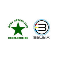Sport Heerlen Sticker by Groene ster