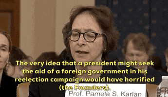 news impeachment impeachment inquiry pamela karlan GIF