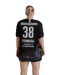 Handball Frauenbundesliga Sticker by Roedertalbienen