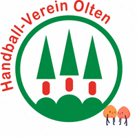 HVOlten handball hvolten GIF