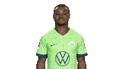 Lets Go Football Sticker by VfL Wolfsburg