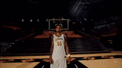 Ncaa Basketball GIF by Mizzou Athletics