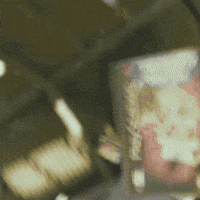 Anthony Mackie GIF