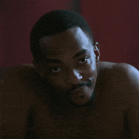 Anthony Mackie GIF