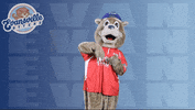Baseball Eating GIF by Evansville Otters