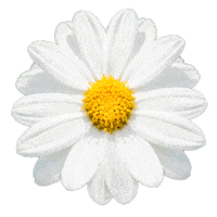 flower garden Sticker by Volmary