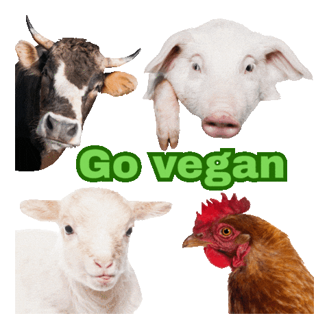 Go Vegan Sticker by Natur-Clean-up