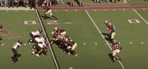 bson1011 giphygifmaker GIF