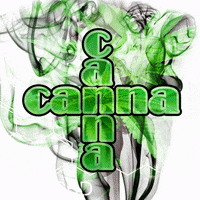 cannacannaolomouc cbd cannacanna GIF