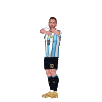World Cup Football Sticker by Panini America