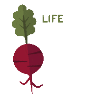standardprocess supplements beets organic farming standardprocess Sticker