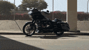 harleydavidson motorcycle harley harley-davidson h-d GIF