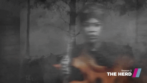 GIF by Showmax