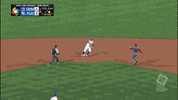 tag celebrates GIF by MLB