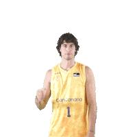 Liga Endesa Basketball Sticker by ACB